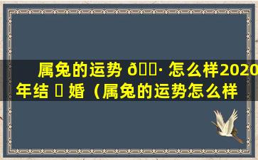 属兔的运势 🌷 怎么样2020年结 ☘ 婚（属兔的运势怎么样2020年结婚好不好）